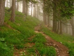 2013-06-22_Hirschhoerndl_Jochberg (083).JPG